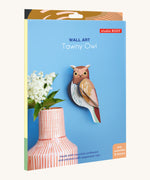 The cardboard packaging for the tawny owl wall decoration available at Babipur.