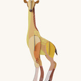 Studio Roof tall giraffe wall decoration available at Babipur. A thick cardboard giraffe DIY kit to hang on a wall