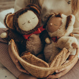Olli Ella Cozy Dinkum Dolls Teddy Twiggy and Teddy Crumble together, sat in an Olli Ella Pionsettia Basket in natural, which is being held by a child