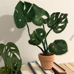 The Makerss - Monstera Plant Small Needle Felt Kit, stood on a stack of books