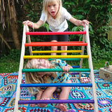 Triclimb Double Rainbow Climbing Triangle