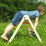 Triclimb Double Rainbow Climbing Triangle