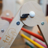 Triclimb Double Rainbow Climbing Triangle