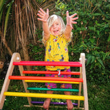 Triclimb Double Rainbow Climbing Triangle