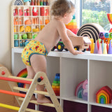 Triclimb Single Rainbow Climbing Triangle