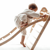 Triclimb Wibli Ladder V2