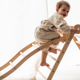 Triclimb Wibli Ladder V2