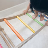 Triclimb Rainbow Wibli Ladder V2