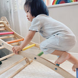 Triclimb Rainbow Wibli Ladder V2