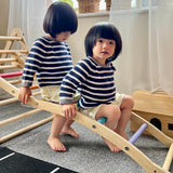 Triclimb Rainbow Wibli Ladder V2