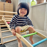Triclimb Rainbow Wibli Ladder V2