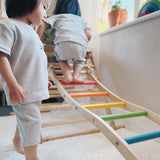 Triclimb Rainbow Wibli Ladder V2