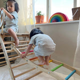 Triclimb Rainbow Wibli Ladder V2