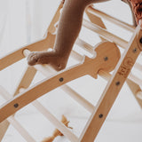 Triclimb Wibli Ladder V2