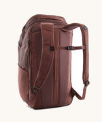 A view of the back of a The Patagonia Black Hole Pack 32 litre capacity backpack in dulse mauve colour.