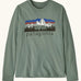 Patagonia Kids organic cotton Long-Sleeved Graphic T-Shirt in Cover Green. A sage green body with a vintage-style Patagonia Fitz Roy Foothills logo on the chest.