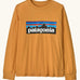 Patagonia Kids Organic Long Sleeve Top in Dried Mango. An orange body with classic Patagonia p-6 logo on the chest.