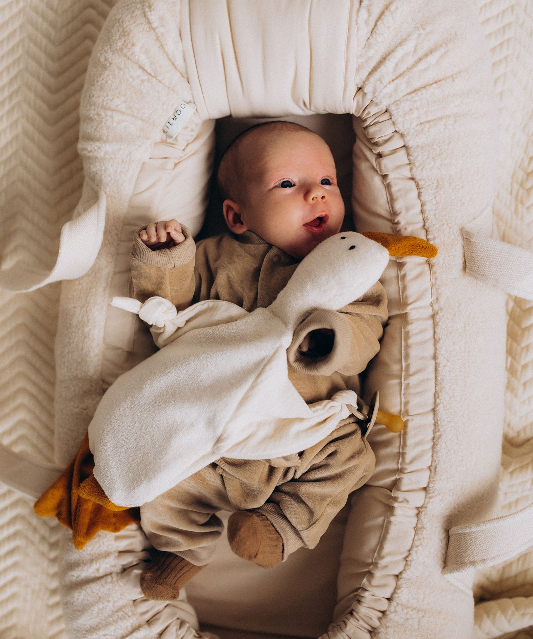 A baby lying in a basket and holding the Wooly Organic goose heating pad available at Babipur with a pacifier tied on the arm
