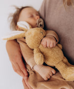Baby holding a teddy bear with a blurred background