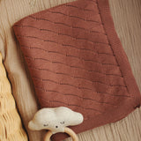 Avery Row Wave Knit Baby Blanket - Tawny Pink