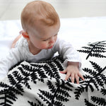  Fern and Tree Ring