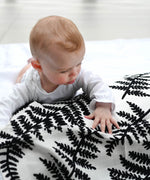  Fern and Tree Ring
