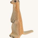 Light brown standing baby meerkat on a cream background
