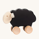 Bajo black wooden sheep toy. This pull along sheep figure has a black coloured body, natural wooden wheels and head and white felt ear details. These heirloom quality toys by Bajo are part of a wide range of wooden toys available here at Babipur. 