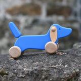 Bajo blue dachshund puppy placed on a stone wall outdoors. 