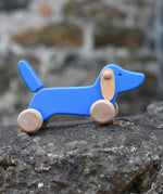 Bajo blue dachshund puppy placed on a stone wall outdoors. 