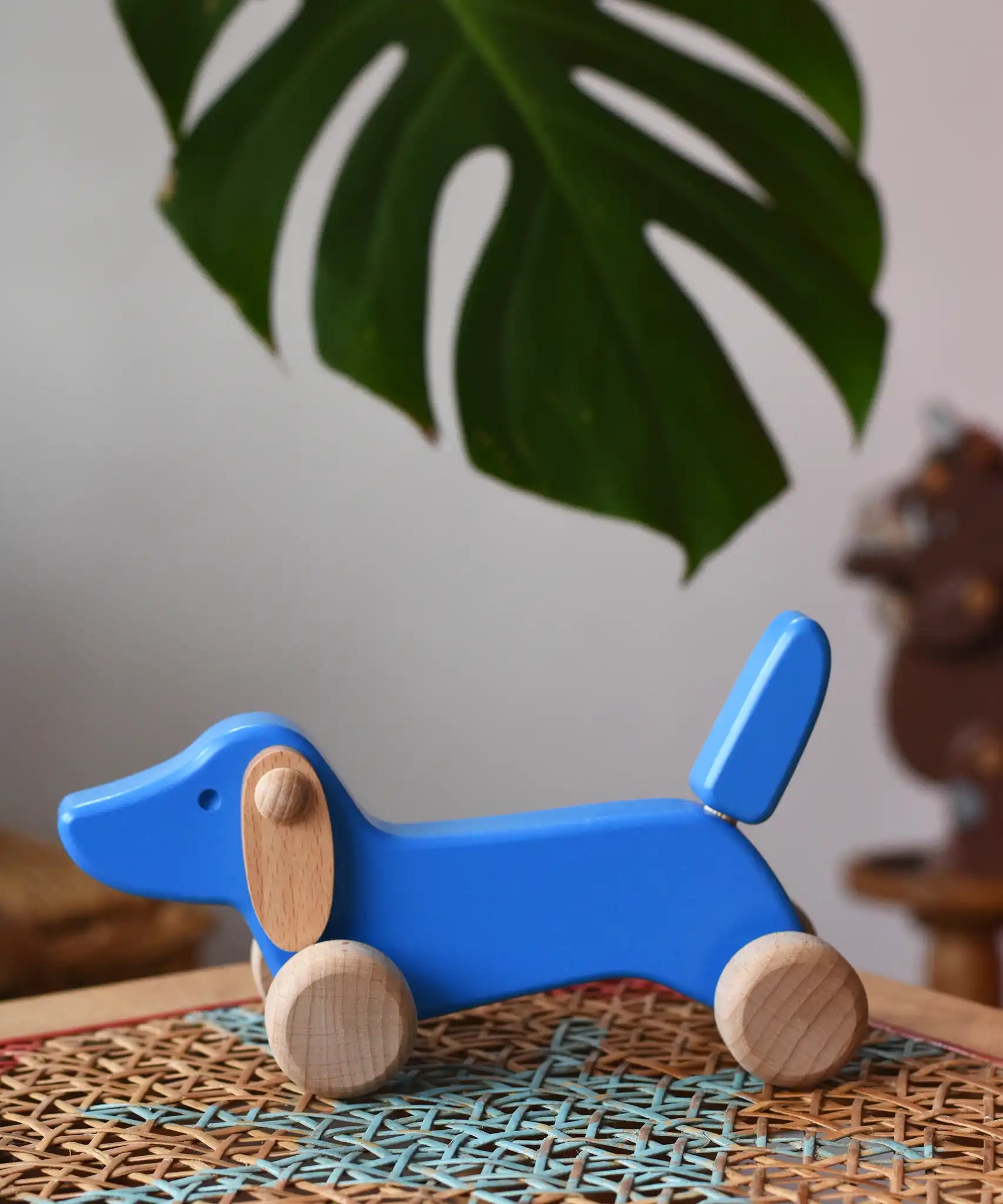 Bajo blue dachshund puppy placed on a rattan stool in the Babipur playroom. 