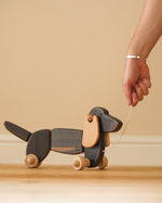 Close up of hand pulling the string on the Bajo dark oak dachshund pull along toy dog