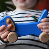 Bajo blue dachshund puppy in a child's hands in the Babipur playroom. 