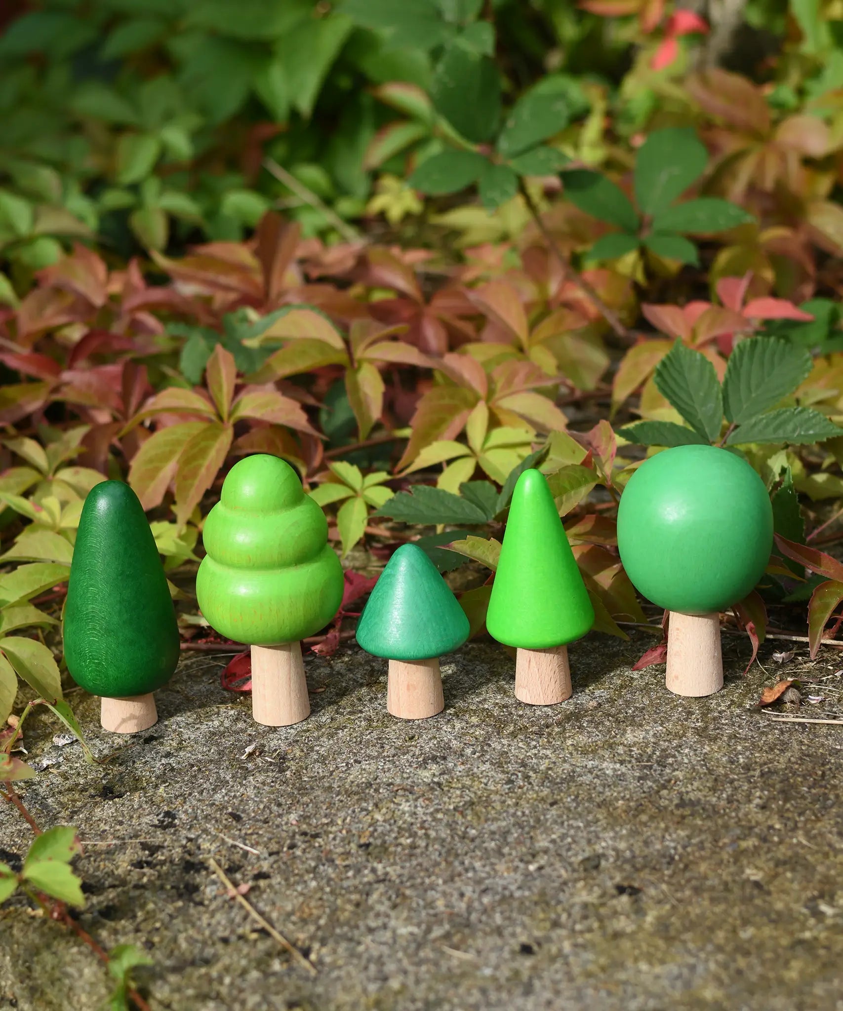 Bajo green forest tree set - 5 wooden trees in a set of 5 placed on a concrete surface outdoors.
