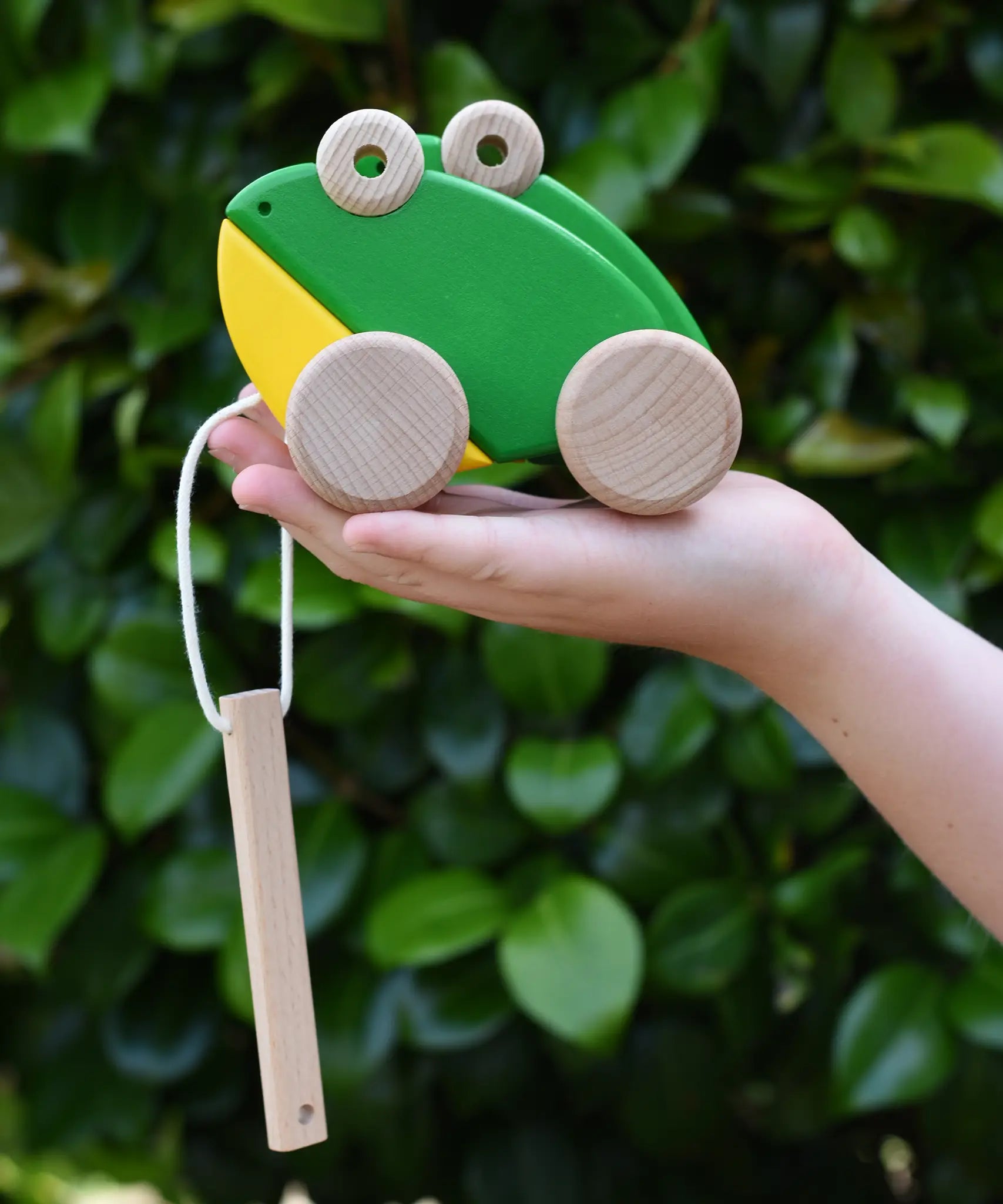 Bajo green double frogs pull along wooden toy in a child's hand. 