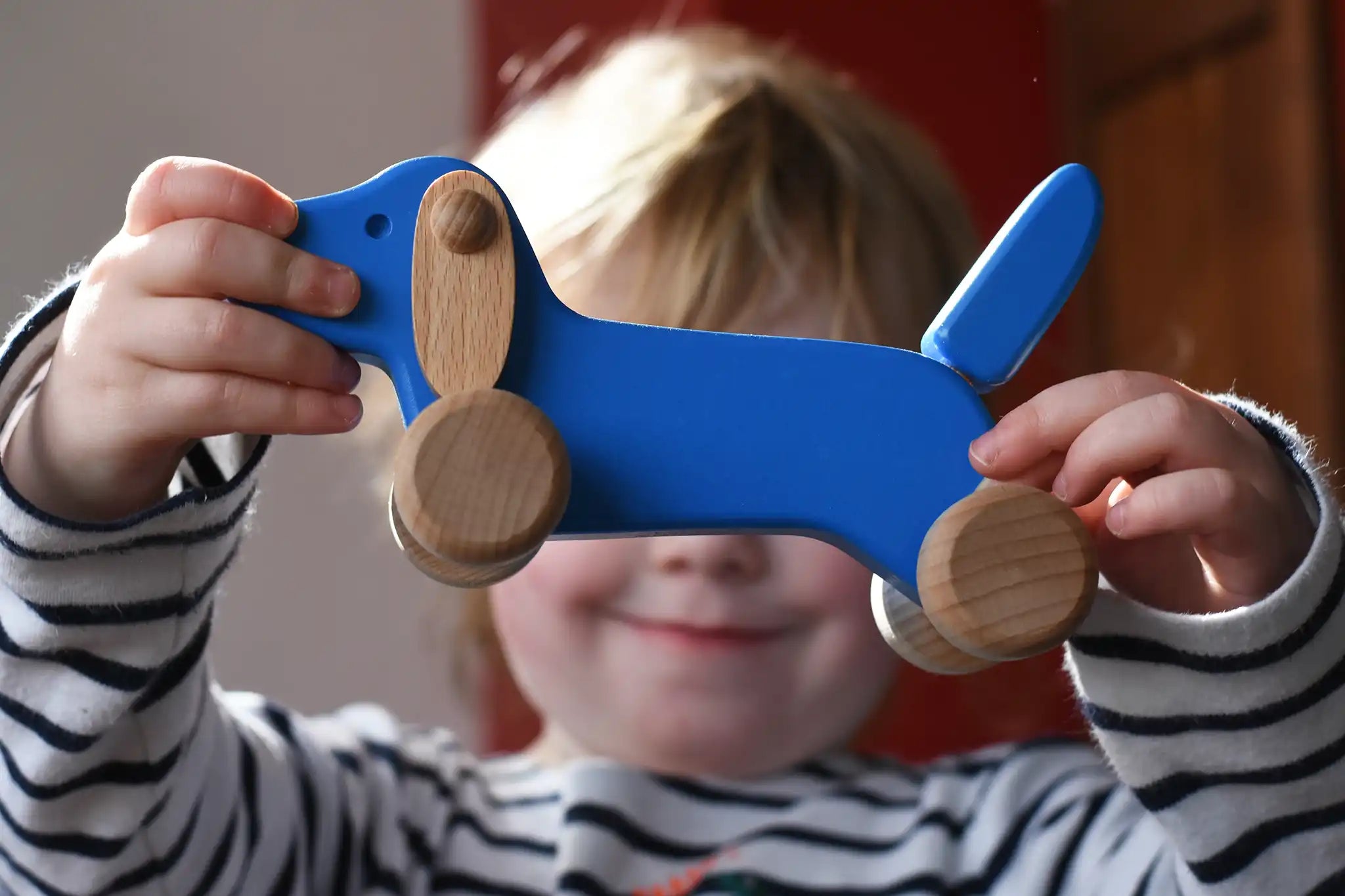 Bajo blue dachshund puppy in a child's hands in the Babipur playroom. 
