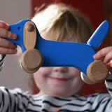 Bajo blue dachshund puppy in a child's hands in the Babipur playroom. 