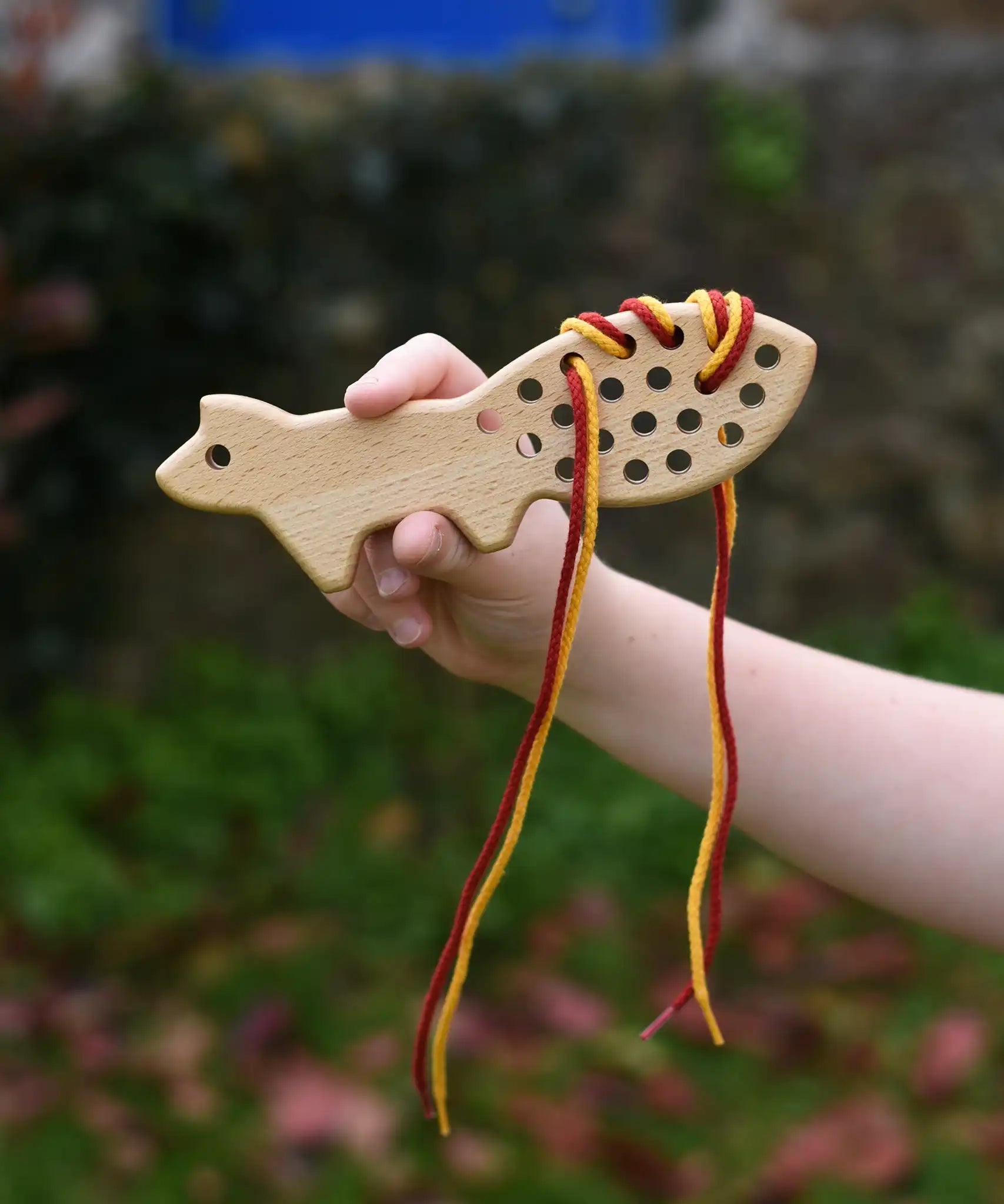 Bajo natural lacing fox in a child's hand in the Babipur garden.