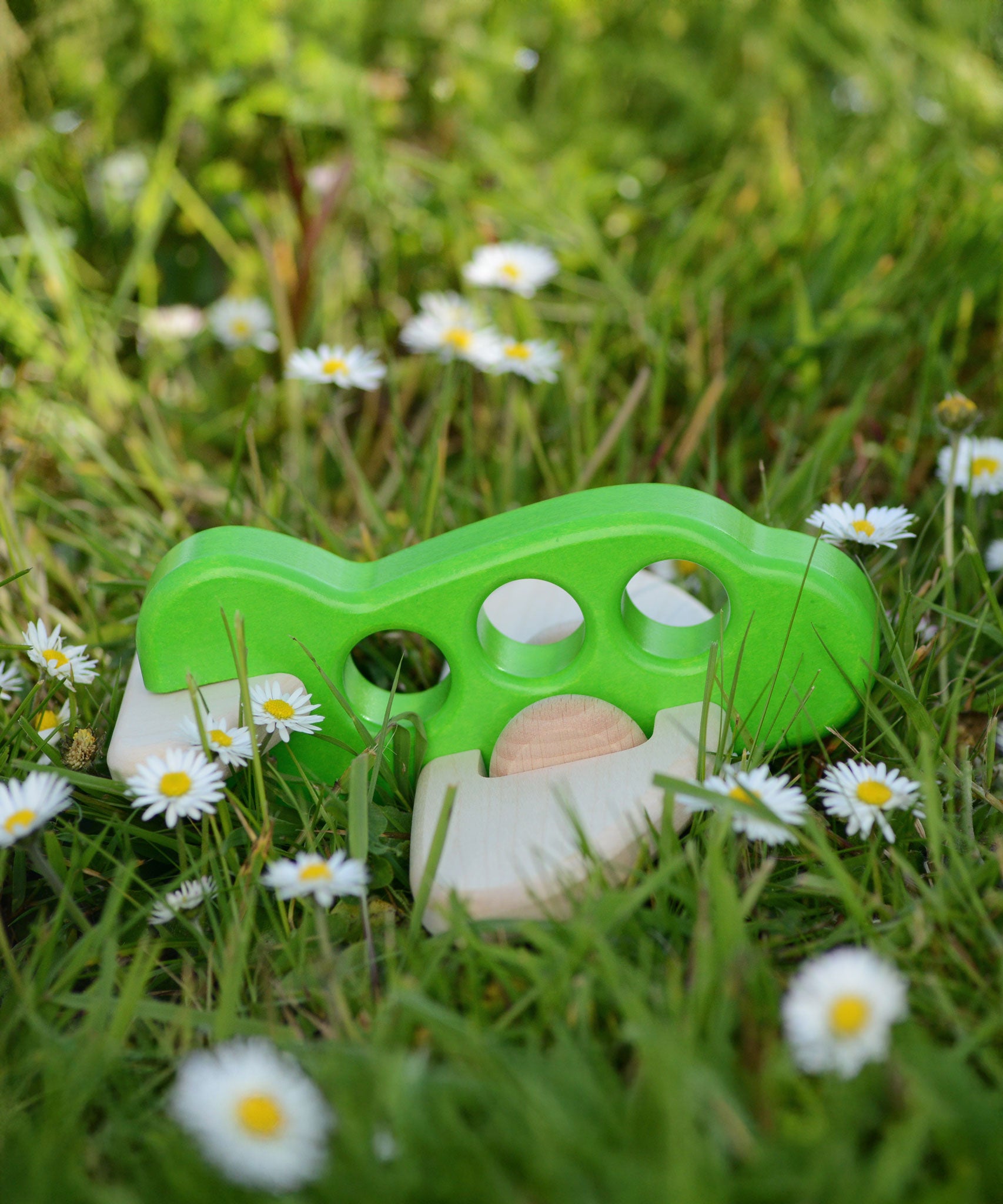A green coloured Bajo wooden airplane with windows placed on the grass surrounded by daisies.