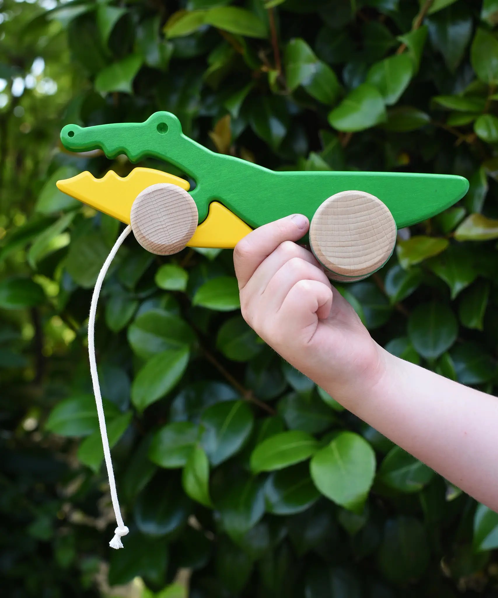 Bajo pull along crocodile wooden toy in a child's hand.