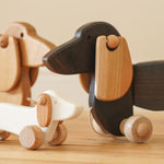 Close up of the Bajo wooden dachshund puppy and pull along dachshund on a wooden floor