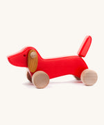Bajo wooden red dachshund puppy available at Babipur. Features unpainted wheels to push and pull