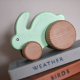 A mint green coloured Bajo wooden toy rabbit on wheels. The toy has been placed on a pile of books. This small rabbit toy is a part of a wide range of wooden toys available at Babipur. 