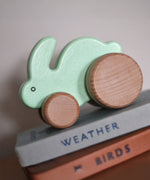 A mint green coloured Bajo wooden toy rabbit on wheels. The toy has been placed on a pile of books. This small rabbit toy is a part of a wide range of wooden toys available at Babipur. 