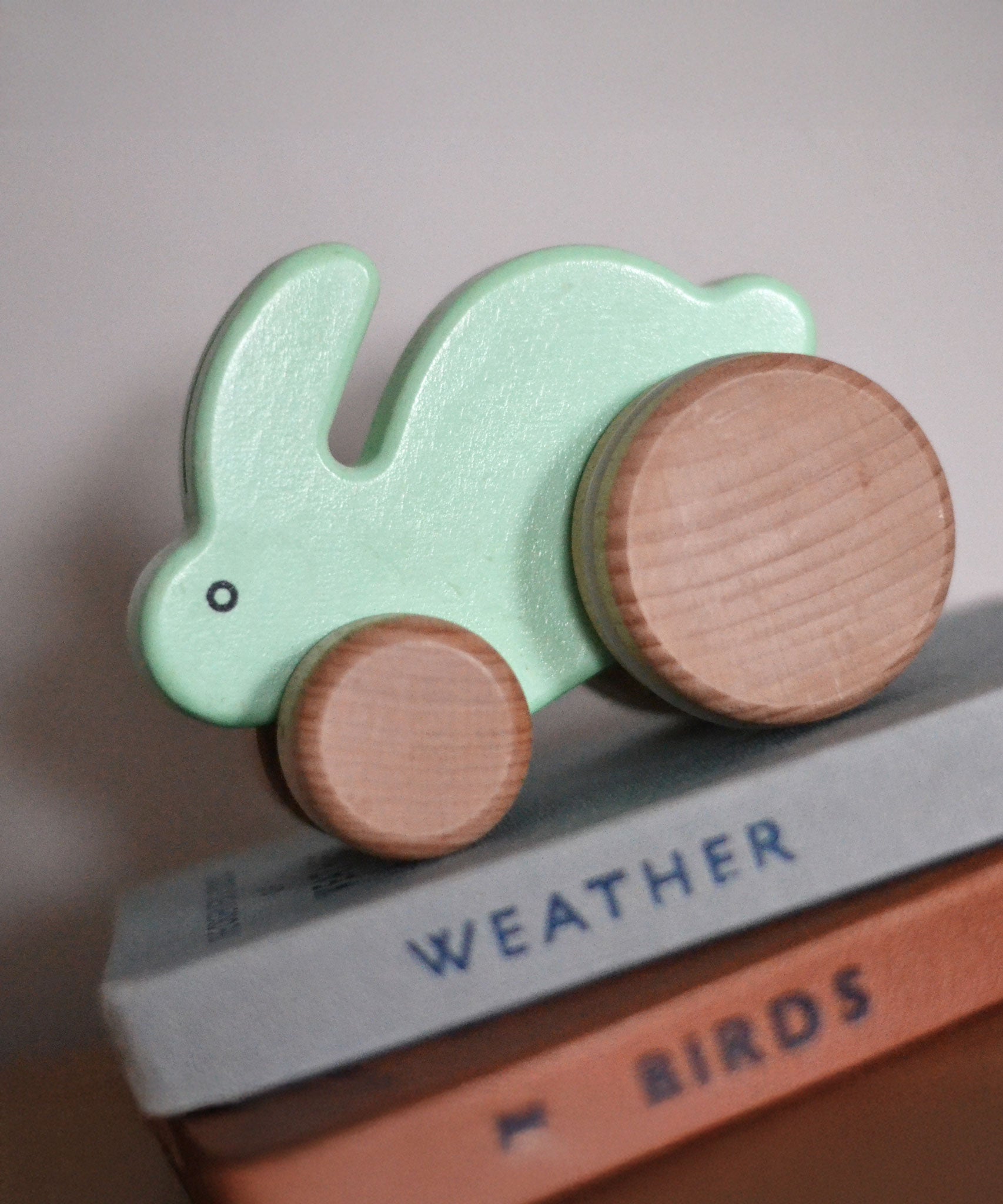 A mint green coloured Bajo wooden toy rabbit on wheels. The toy has been placed on a pile of books. This small rabbit toy is a part of a wide range of wooden toys available at Babipur. 