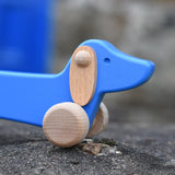 Close up of the natural wooden ears on the Bajo blue dachshund puppy placed on a stone wall outdoors. 