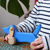 Bajo blue dachshund puppy in a child's hands in the Babipur playroom. 