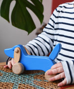 Bajo blue dachshund puppy in a child's hands in the Babipur playroom. 