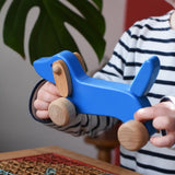 Bajo blue dachshund puppy in a child's hands in the Babipur playroom. 