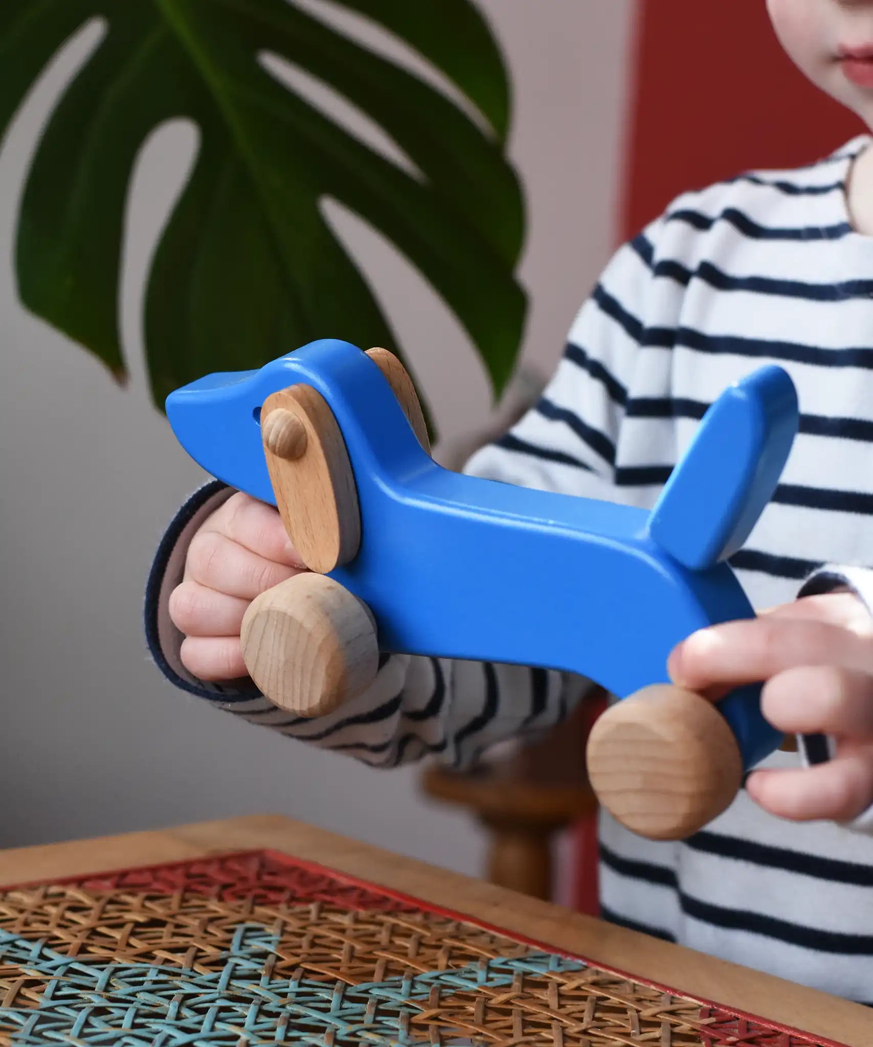 Bajo blue dachshund puppy in a child's hands in the Babipur playroom. 